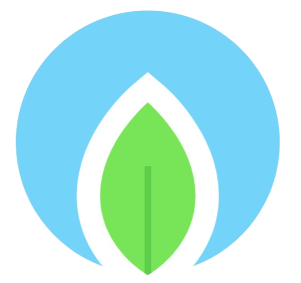 RK Infotech Solutions Logo